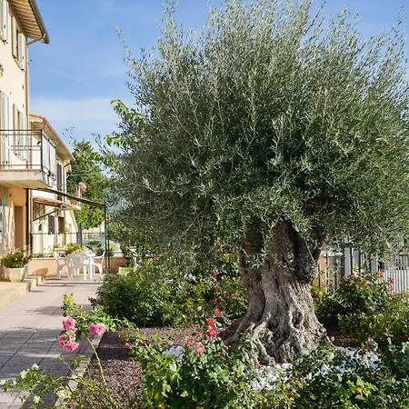 Daire Scarponi Assisi