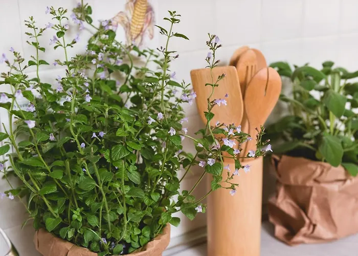 Apartamento Scarponi Assisi