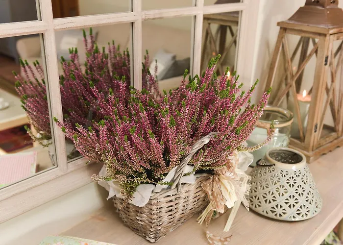 Scarponi Apartamento Assisi