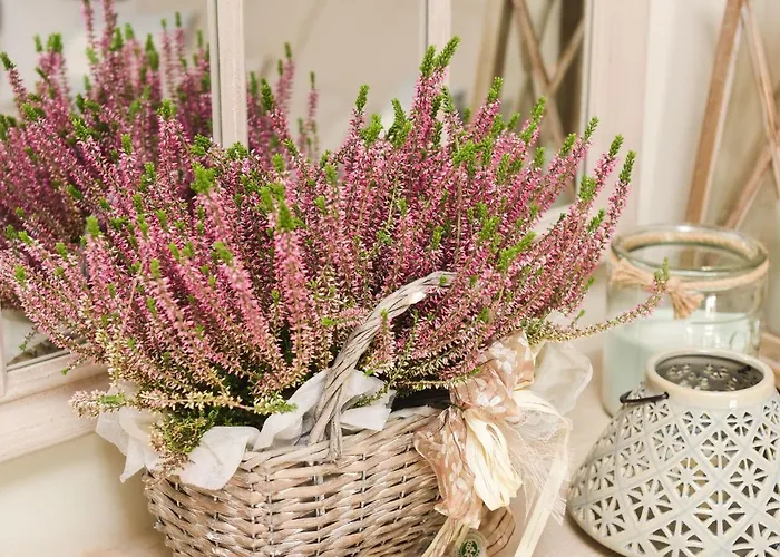 Scarponi Apartamento *